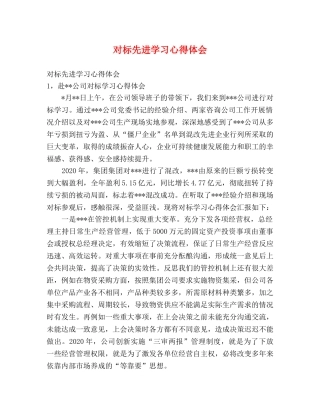 对标先进学习心得体会 