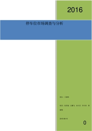 停车位场调研报告资料