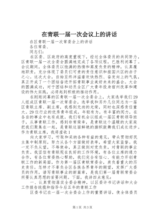 在青联一届一次会议上的讲话发言
