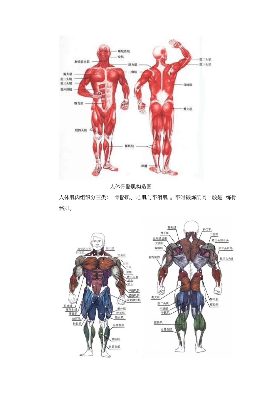 健身教练培训-健身知识系统总汇31_第3页