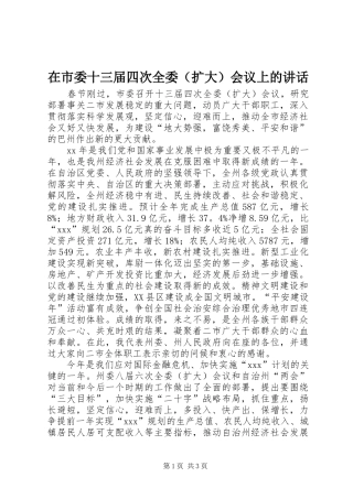 在市委十三届四次全委（扩大）会议上的讲话发言