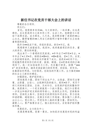 新任书记在党员干部大会上的讲话发言