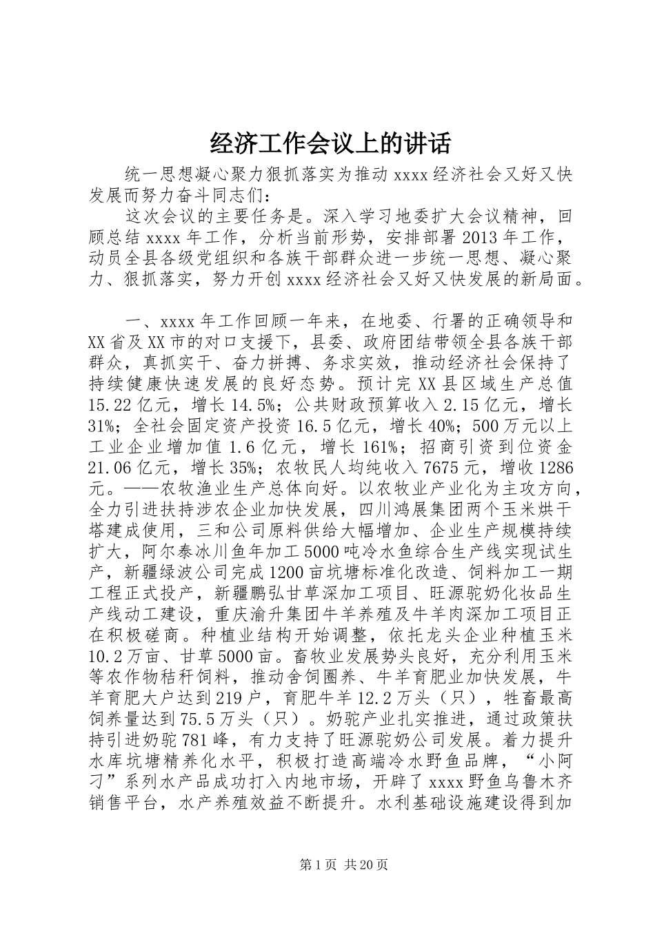 经济工作会议上的讲话发言_第1页