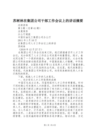 苏树林在集团公司干部工作会议上的讲话发言摘要