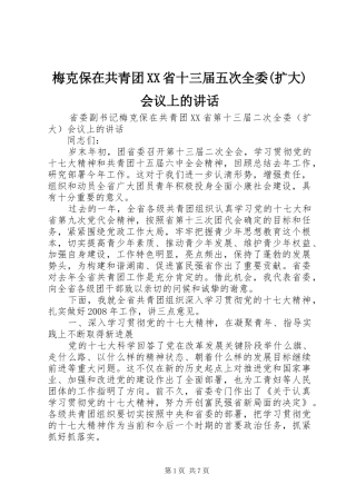 梅克保在共青团XX省十三届五次全委(扩大)会议上的讲话发言
