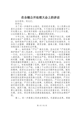 在全镇公开处理大会上的讲话发言