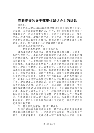 在新提拔领导干部集体谈话会上的讲话发言