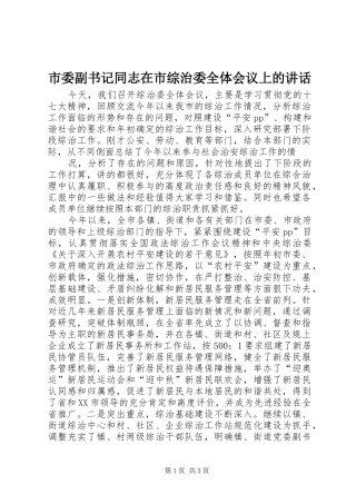 市委副书记同志在市综治委全体会议上的讲话发言