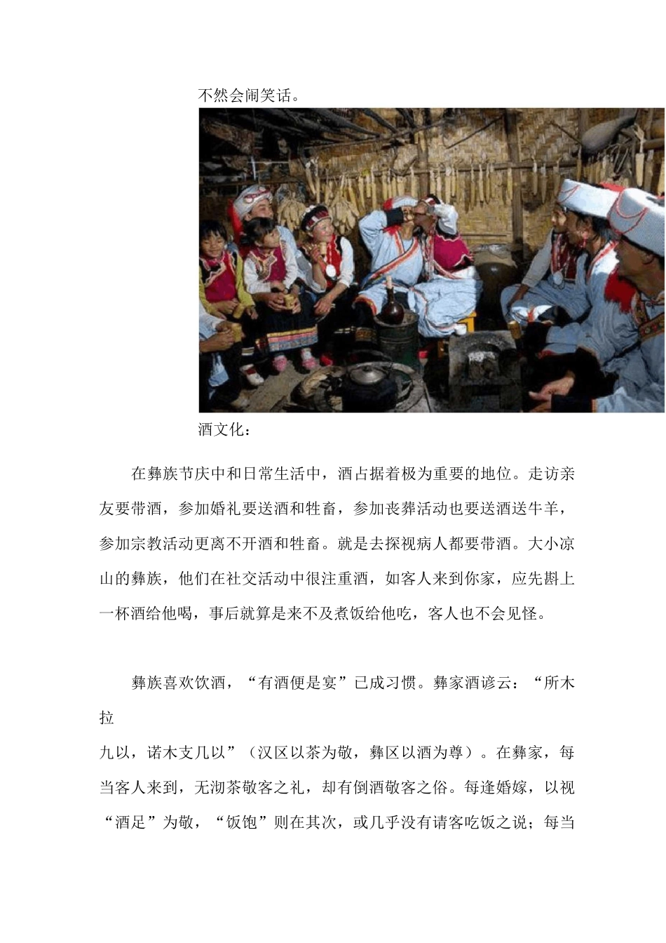 彝族人生活环境及风俗(二)_第3页