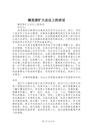 镇党委扩大会议上的讲话发言