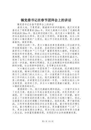 镇党委书记在春节团拜会上的讲话发言