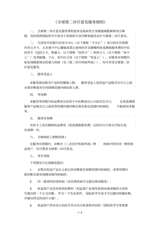 全球第二诊疗意见服务细则