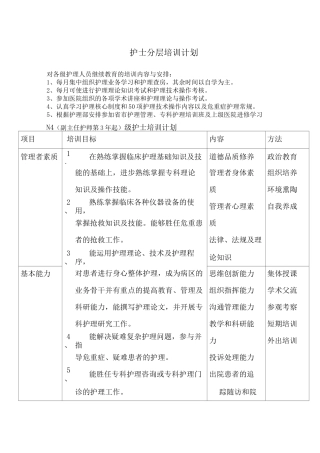 护士分层培训计划