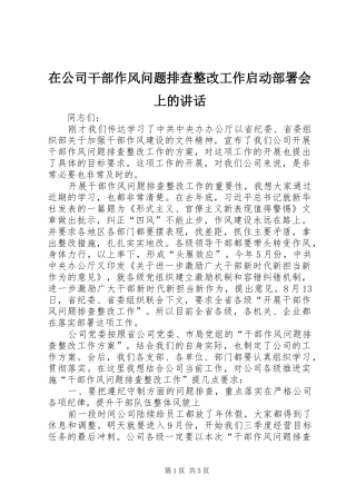 在公司干部作风问题排查整改工作启动部署会上的讲话发言