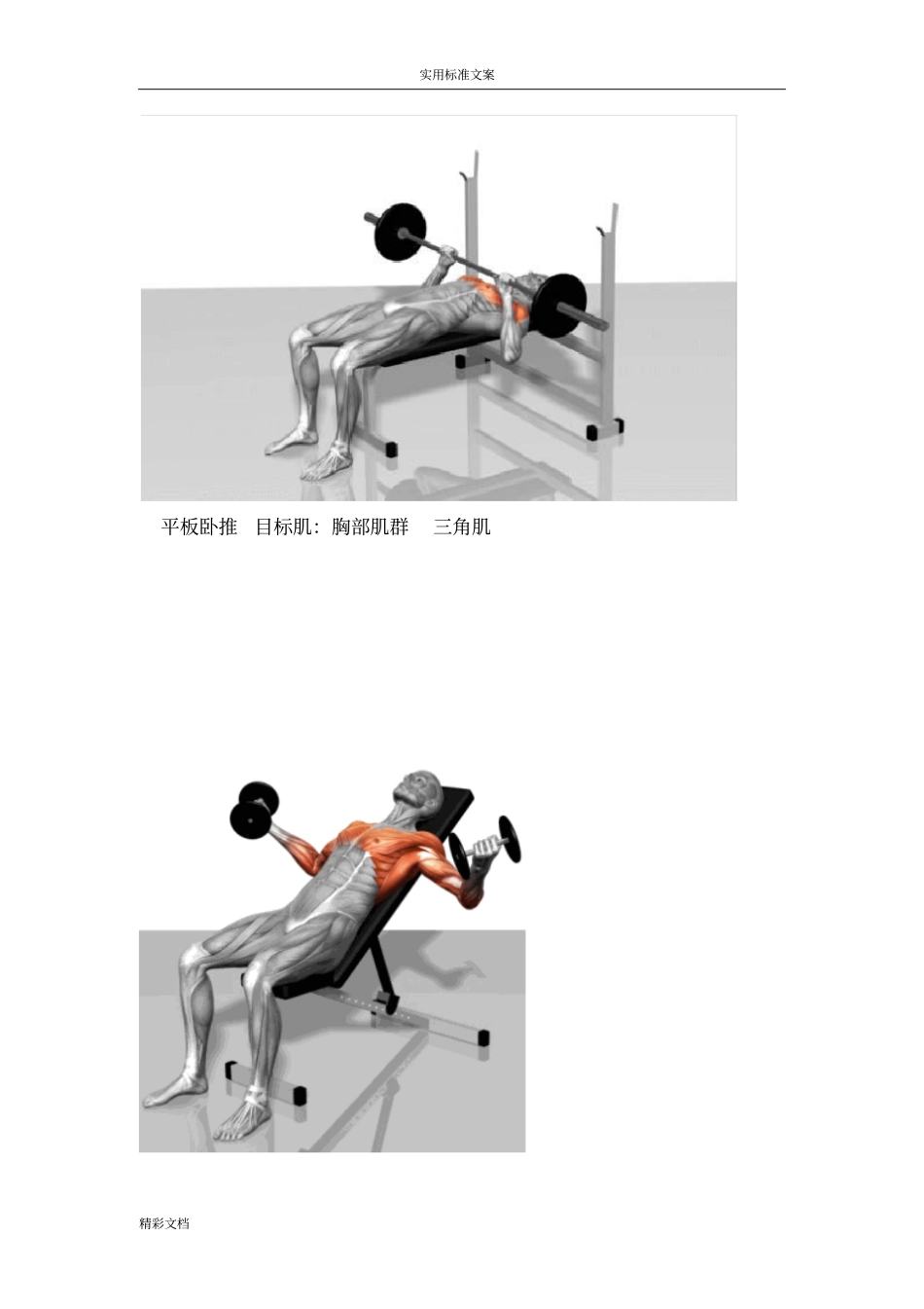 全身肌肉锻炼大全,详细到每个细节_第2页