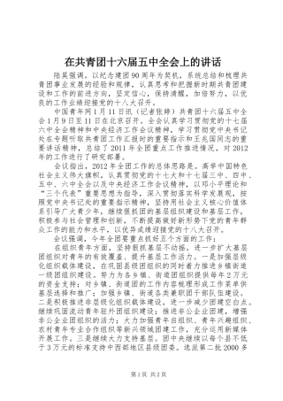 在共青团十六届五中全会上的讲话发言