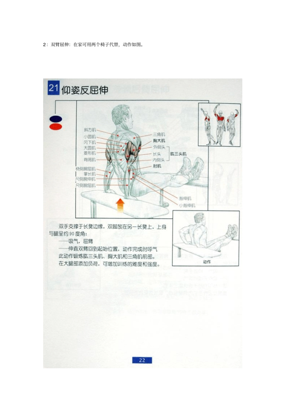 全身肌肉锻炼的方法与动作要领_第3页