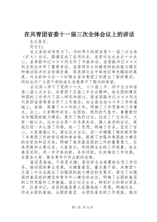 在共青团省委十一届三次全体会议上的讲话发言