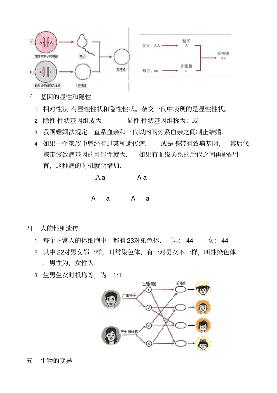 八年级下册生物复习提纲_第3页