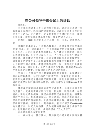 在公司领导干部会议上的讲话发言
