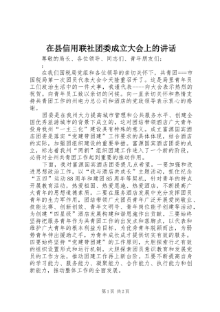 在县信用联社团委成立大会上的讲话发言