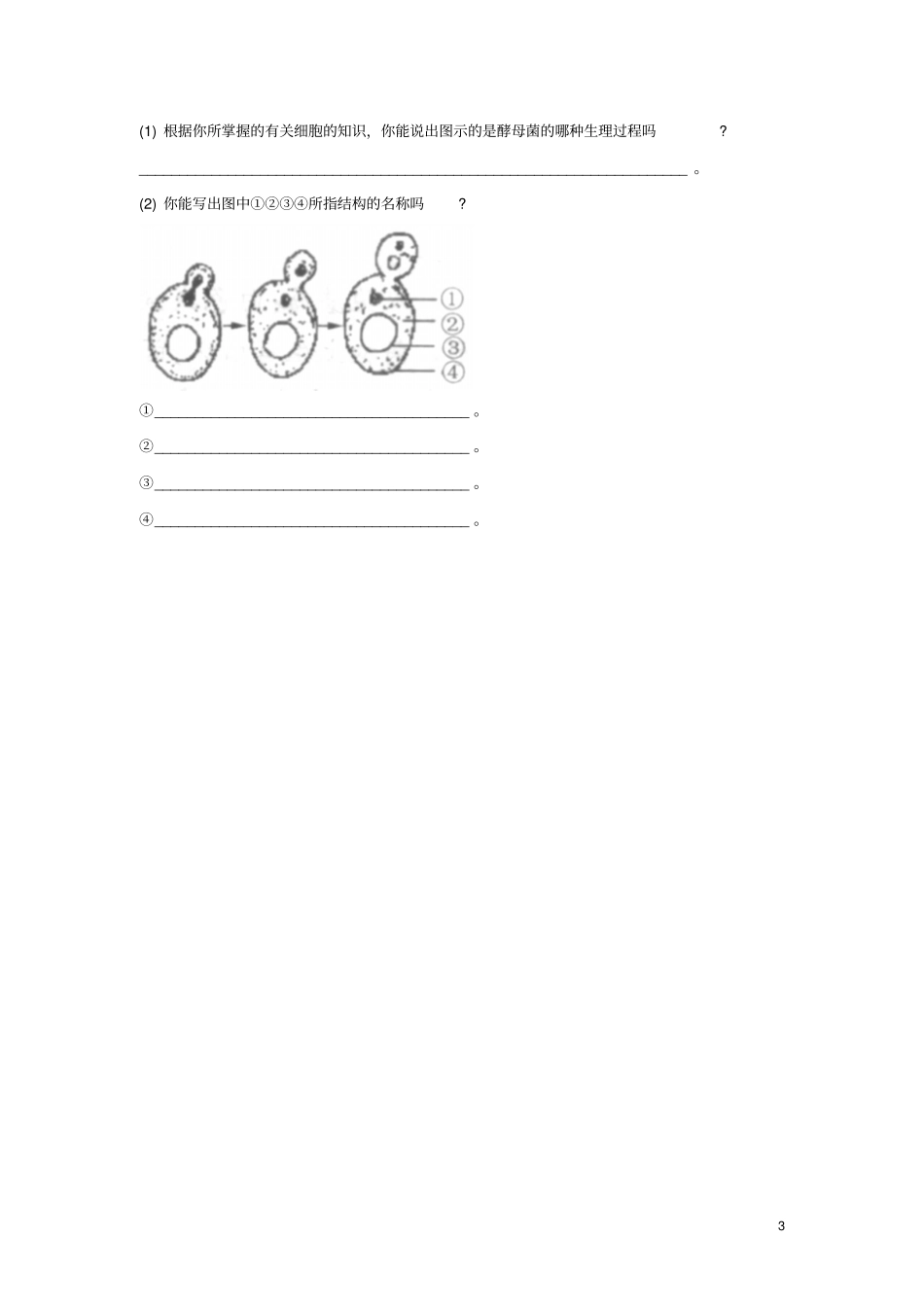 八年级生物3真菌同步练习新人教版_第3页