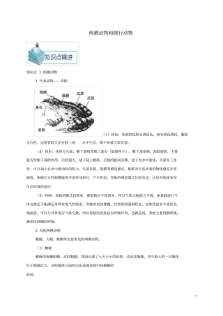 八年级生物上册两栖动物和爬行动物备课资料新版新人教版