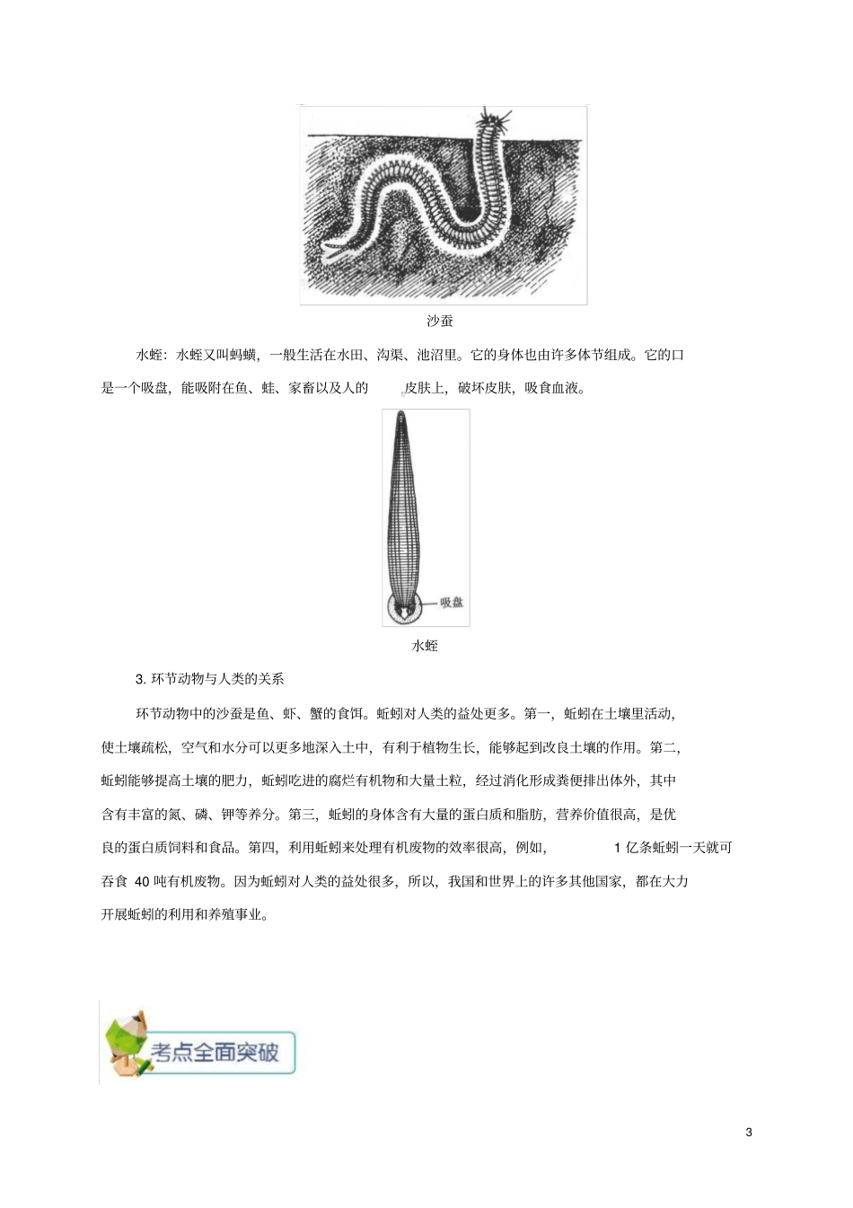 八年级生物上册线形动物和环节动物备课资料新版新人教版_第3页