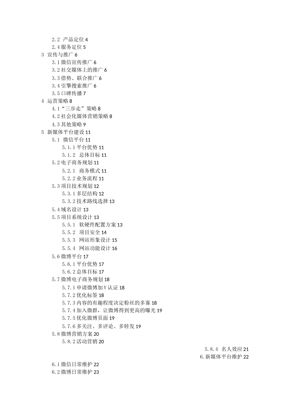 新媒体运营策划书_第2页