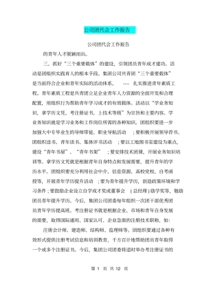 公司团代会工作报告