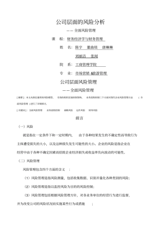 公司层面的风险分析