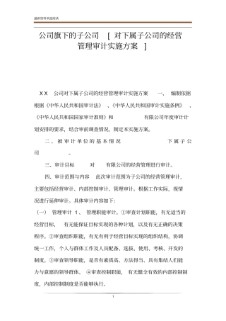 公司旗下的子公司对下属子公司的经营管理审计实施方案