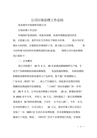 公司污染治理工作总结