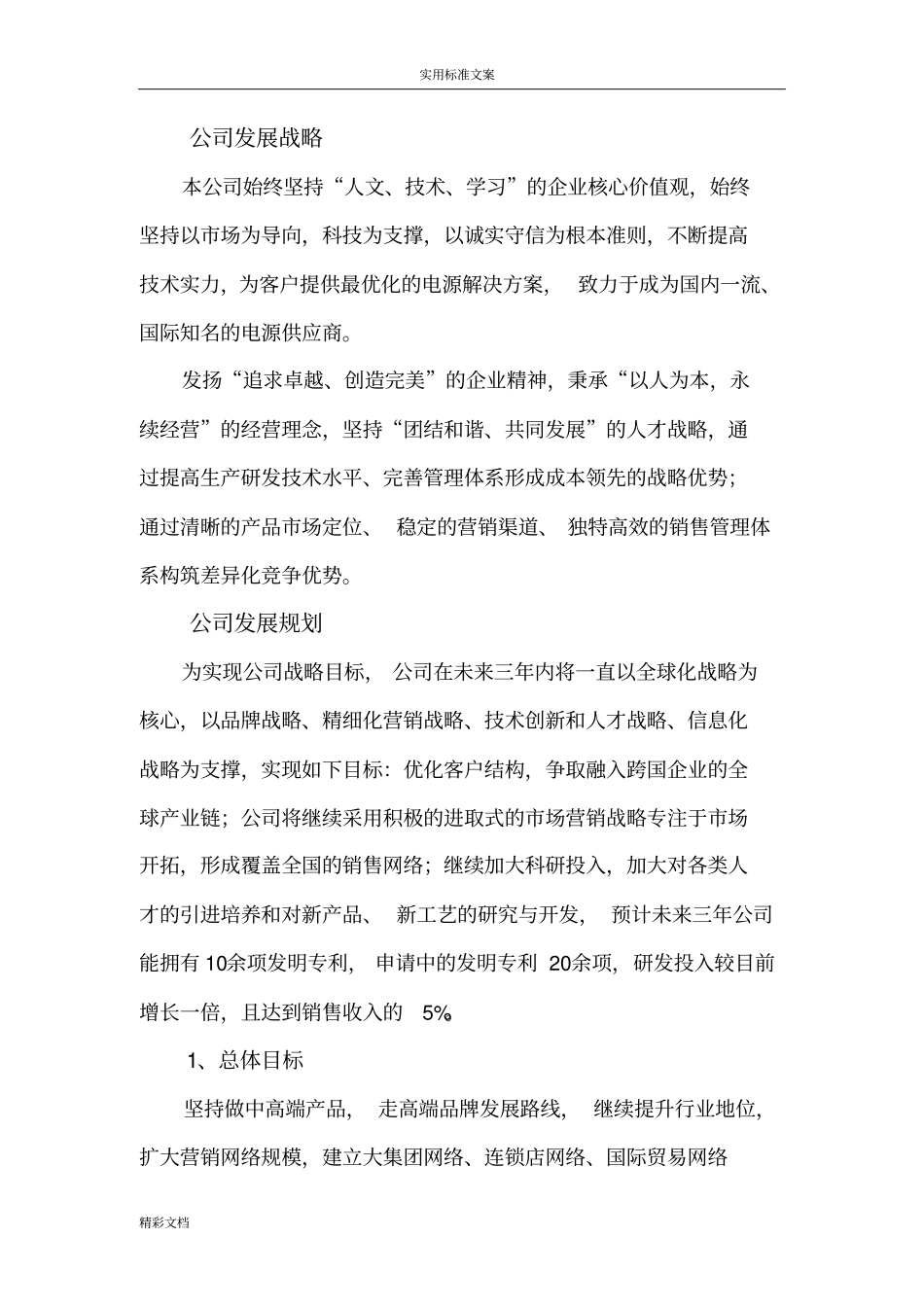 公司的未来战略规划及发展目标_第2页