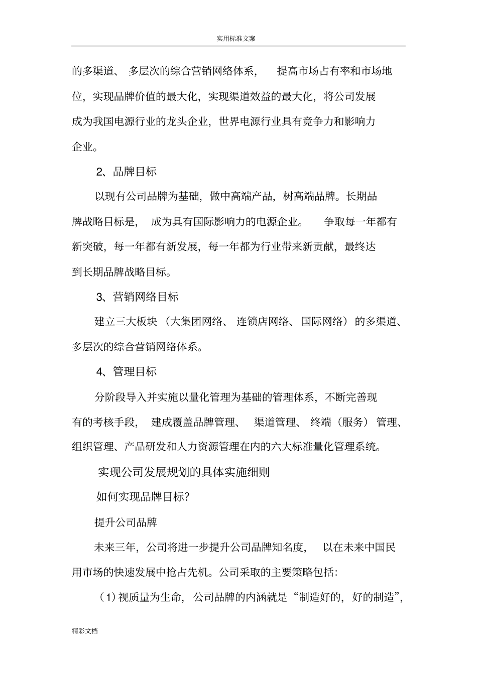 公司的未来战略规划及发展目标_第3页