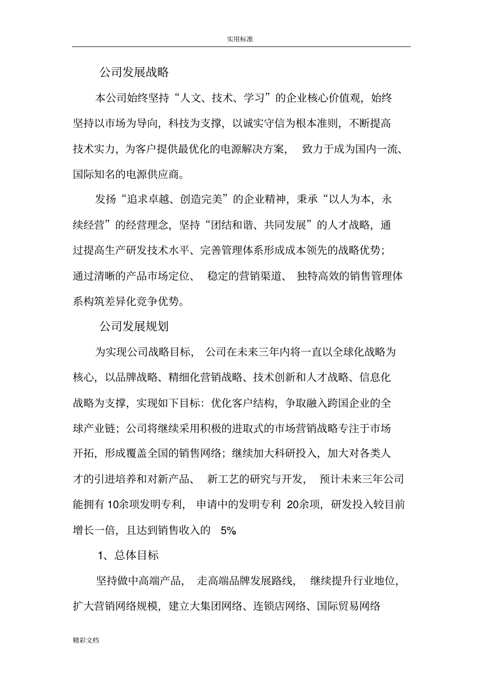 公司管理系统未来战略规划及发展目标_第2页