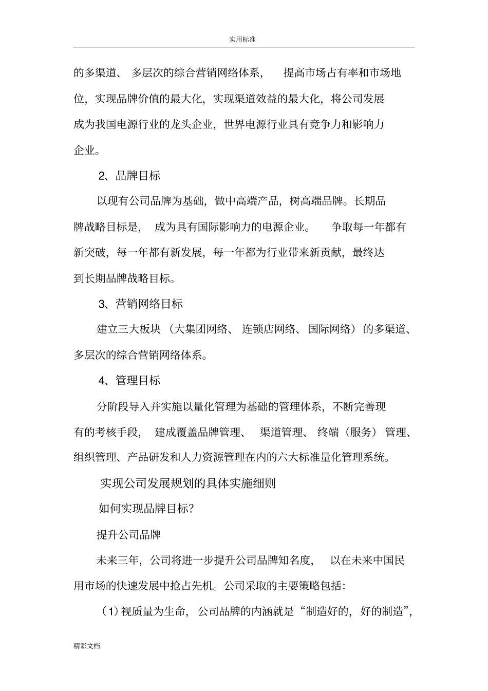 公司管理系统未来战略规划及发展目标_第3页