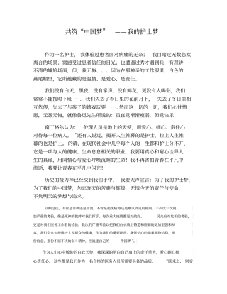 共筑中国梦——我的护士梦