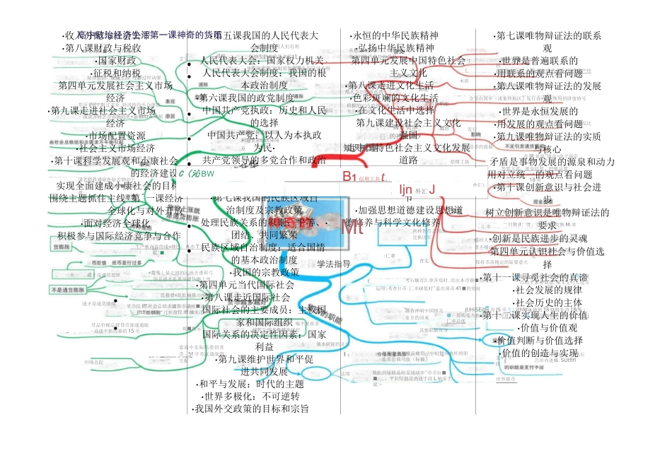 全套高中政治思维导图word清晰打印版_第2页
