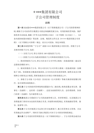 集团公司的下属子公司的管理规章制度