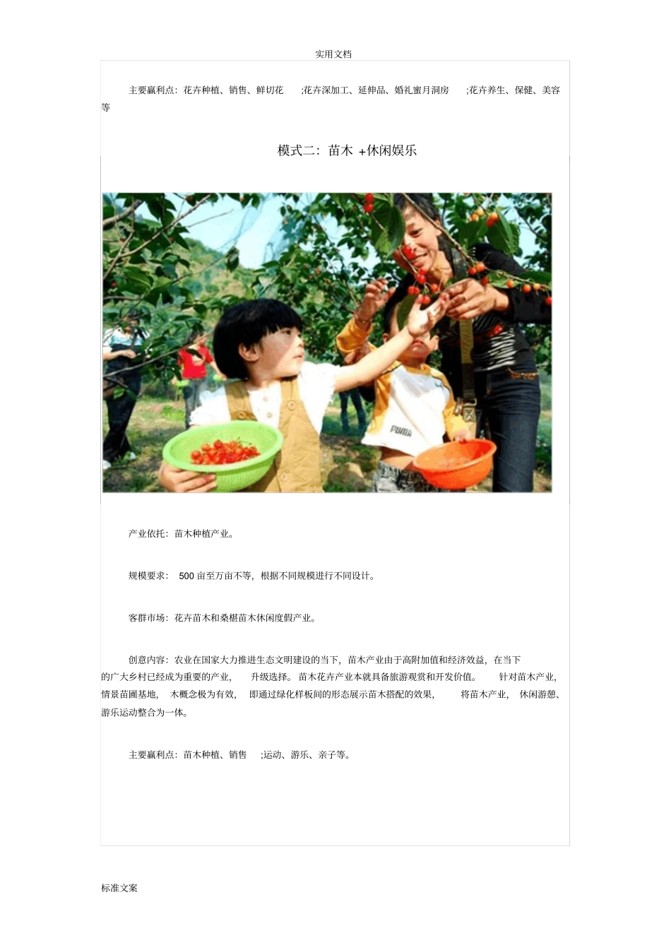 农旅融合十大创意模式_第2页