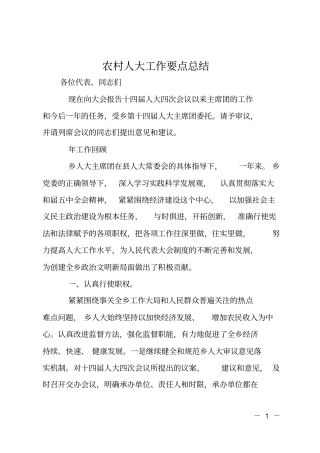 农村人大工作要点总结
