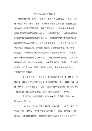 农村经济责任审计报告