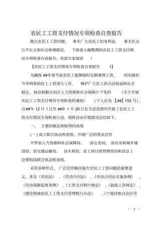 农民工工资支付情况专项检查自查报告