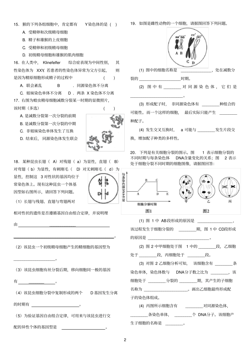 减数分裂习题精选_第2页