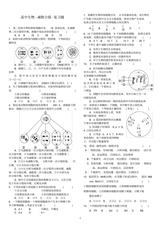 减数分裂习题精选