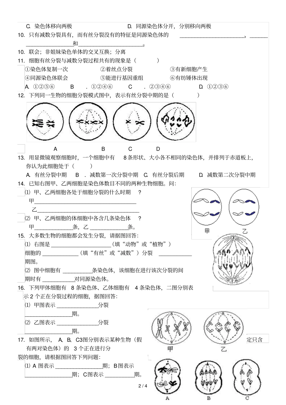 减数分裂和有丝分裂试题含标准答案_第2页