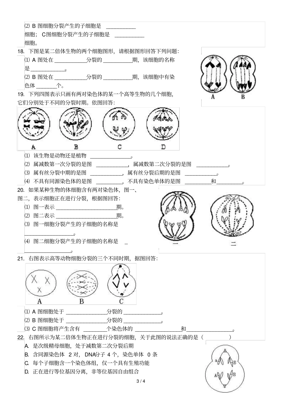 减数分裂和有丝分裂试题含标准答案_第3页