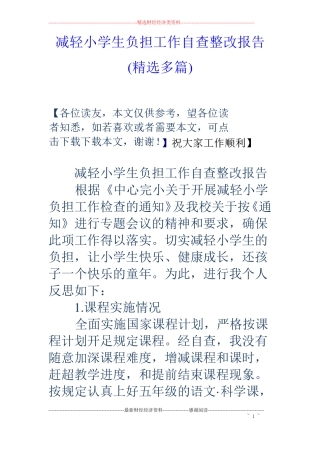 减轻小学生负担工作自查整改报告精选多篇