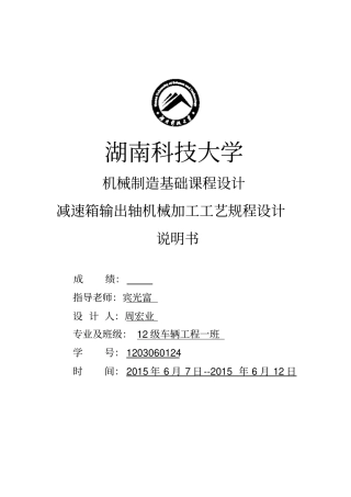 减速箱输出轴机械加工工艺规程设计机械制造课程设计
